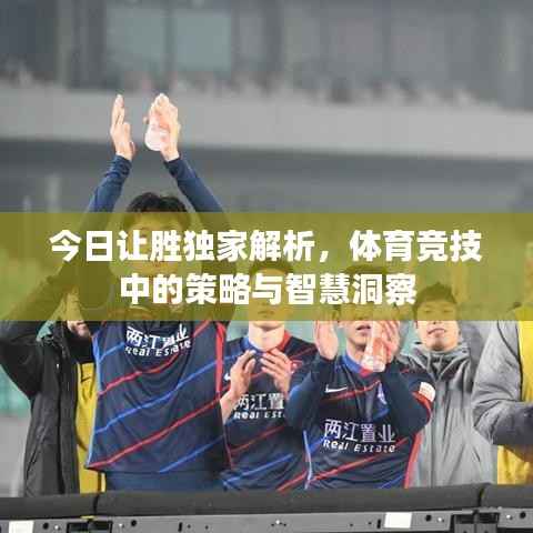 今日让胜独家解析,体育竞技中的策略与智慧洞察