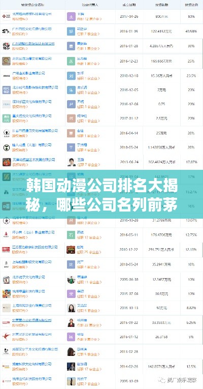 韩国动漫公司排名大揭秘，哪些公司名列前茅？