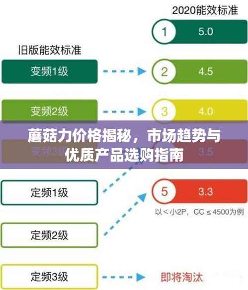 蘑菇力价格揭秘,市场趋势与优质产品选购指南