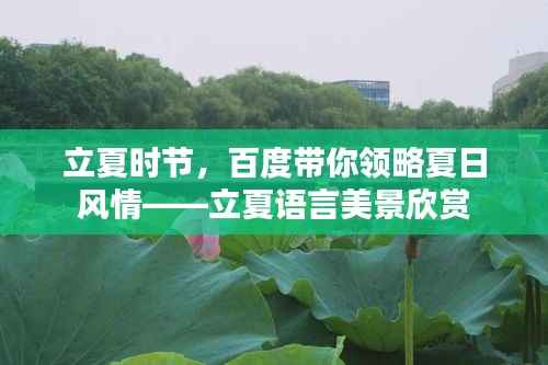 立夏时节,百度带你领略夏日风情——立夏语言美景欣赏